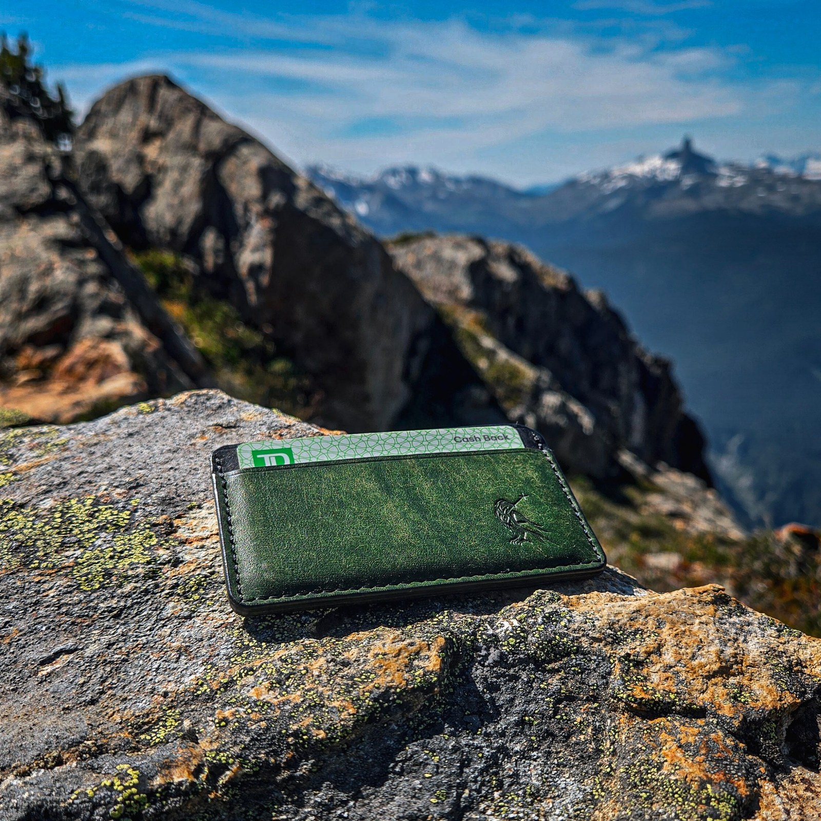 Green leather card wallet resting on a rocky mountain overlook